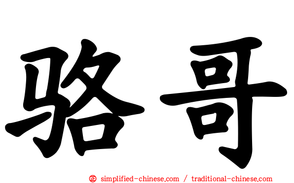 骆哥