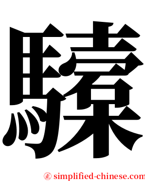 驝 serif font