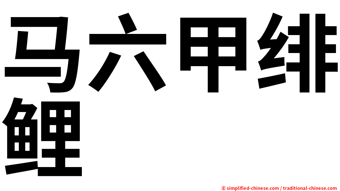 马六甲绯鲤