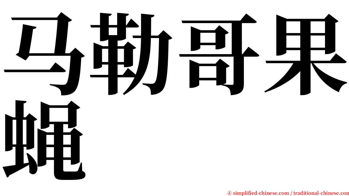 马勒哥果蝇 serif font