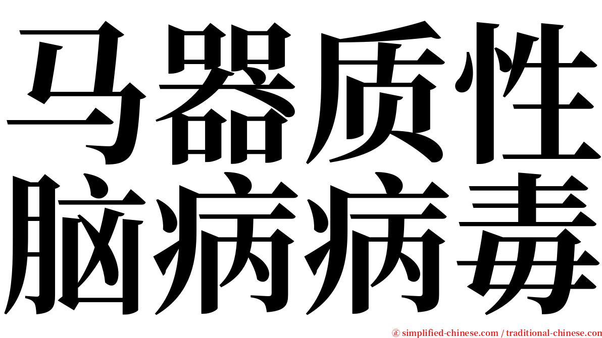 马器质性脑病病毒 serif font
