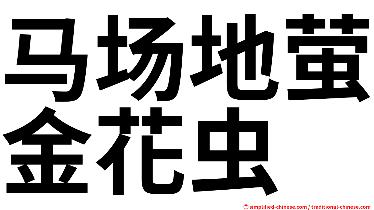 马场地萤金花虫
