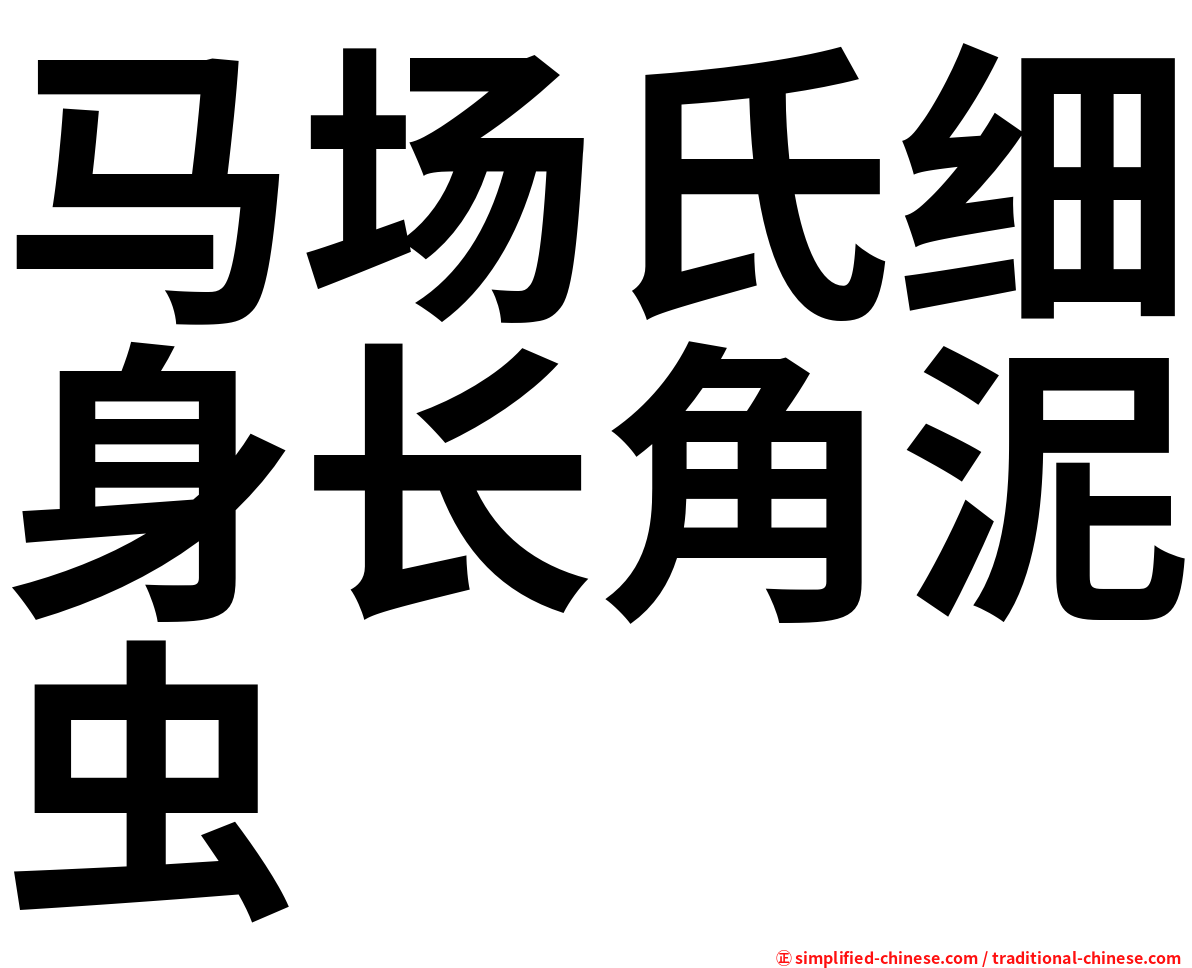 马场氏细身长角泥虫