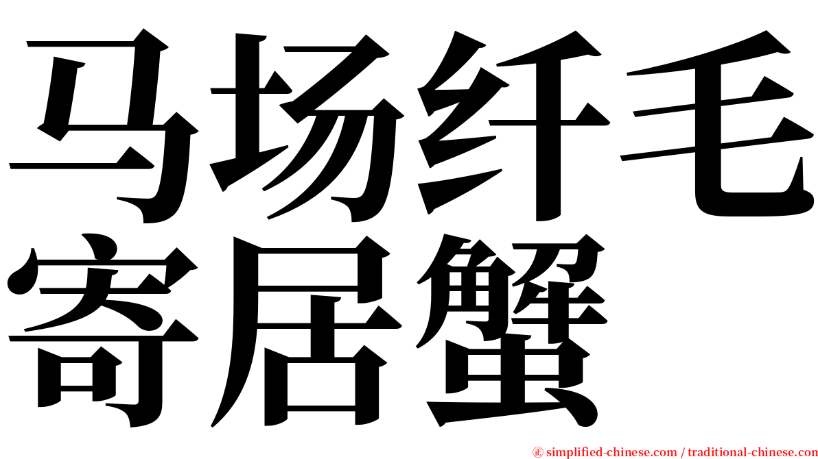 马场纤毛寄居蟹 serif font