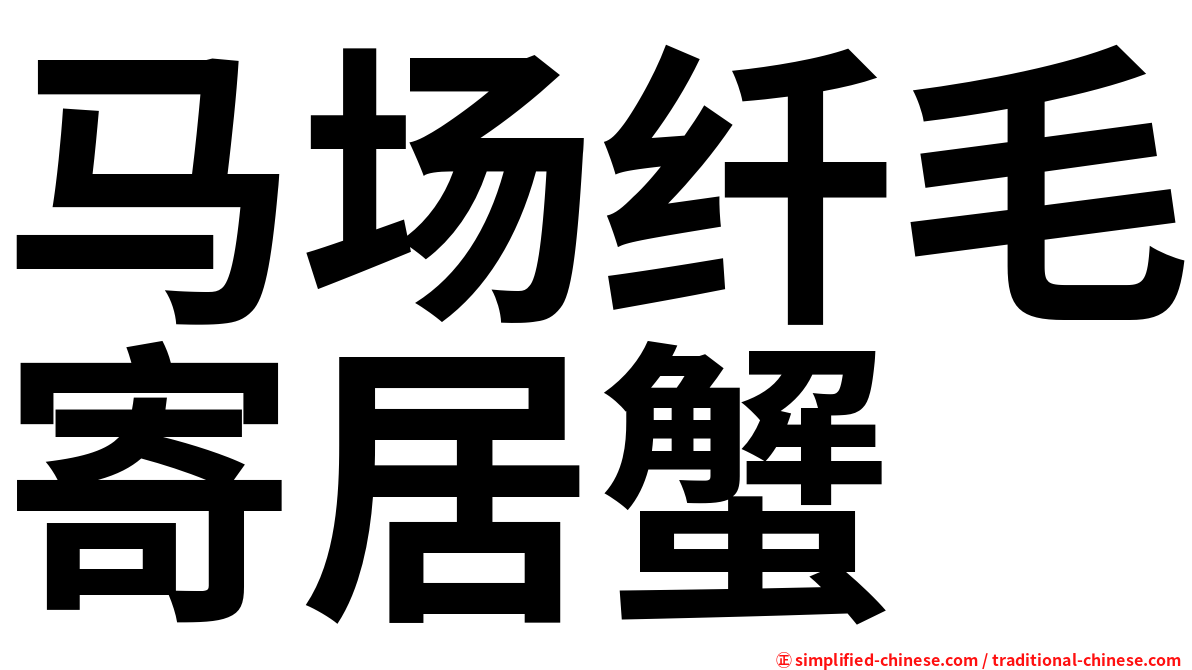 马场纤毛寄居蟹