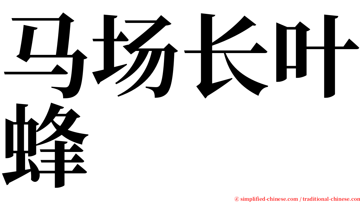 马场长叶蜂 serif font