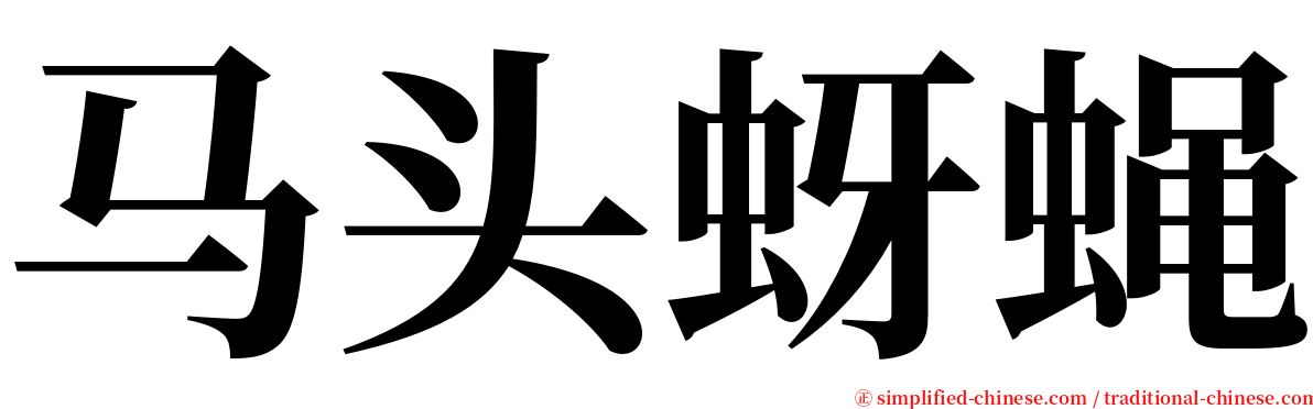 马头蚜蝇 serif font