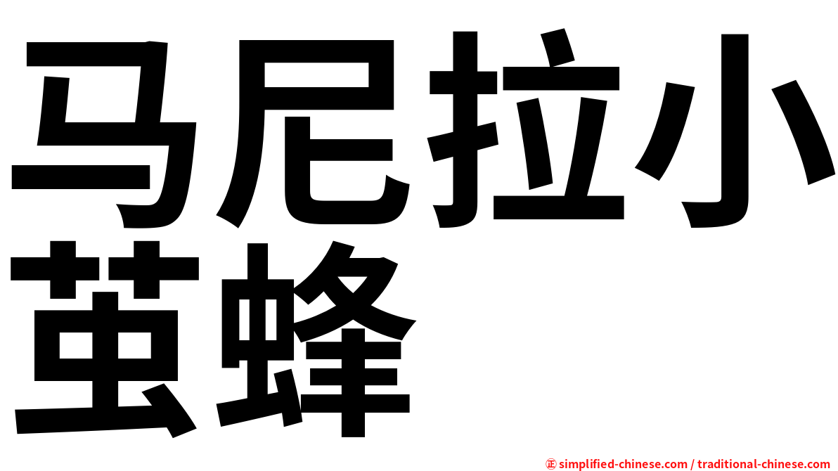 马尼拉小茧蜂