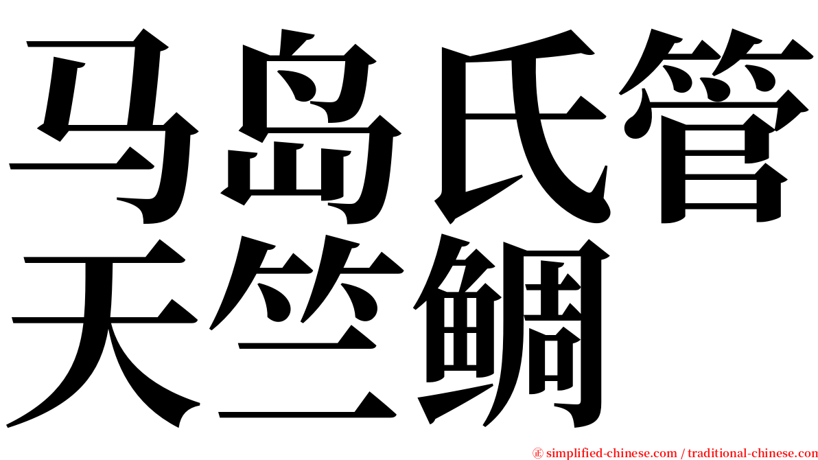 马岛氏管天竺鲷 serif font