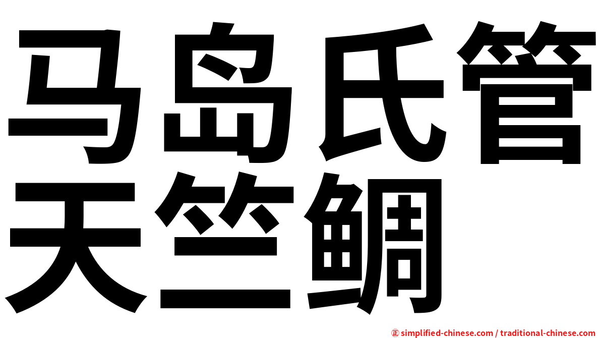 马岛氏管天竺鲷