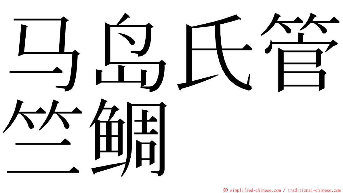 马岛氏管竺鲷 ming font
