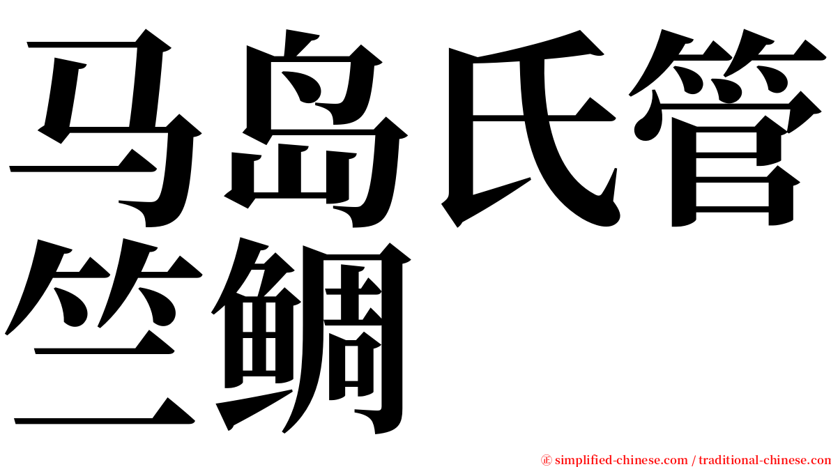 马岛氏管竺鲷 serif font