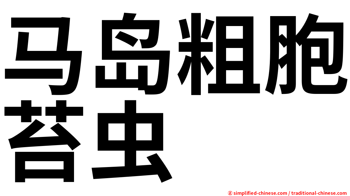 马岛粗胞苔虫