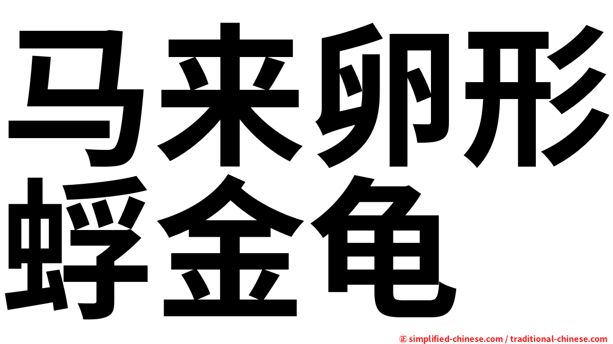 马来卵形蜉金龟