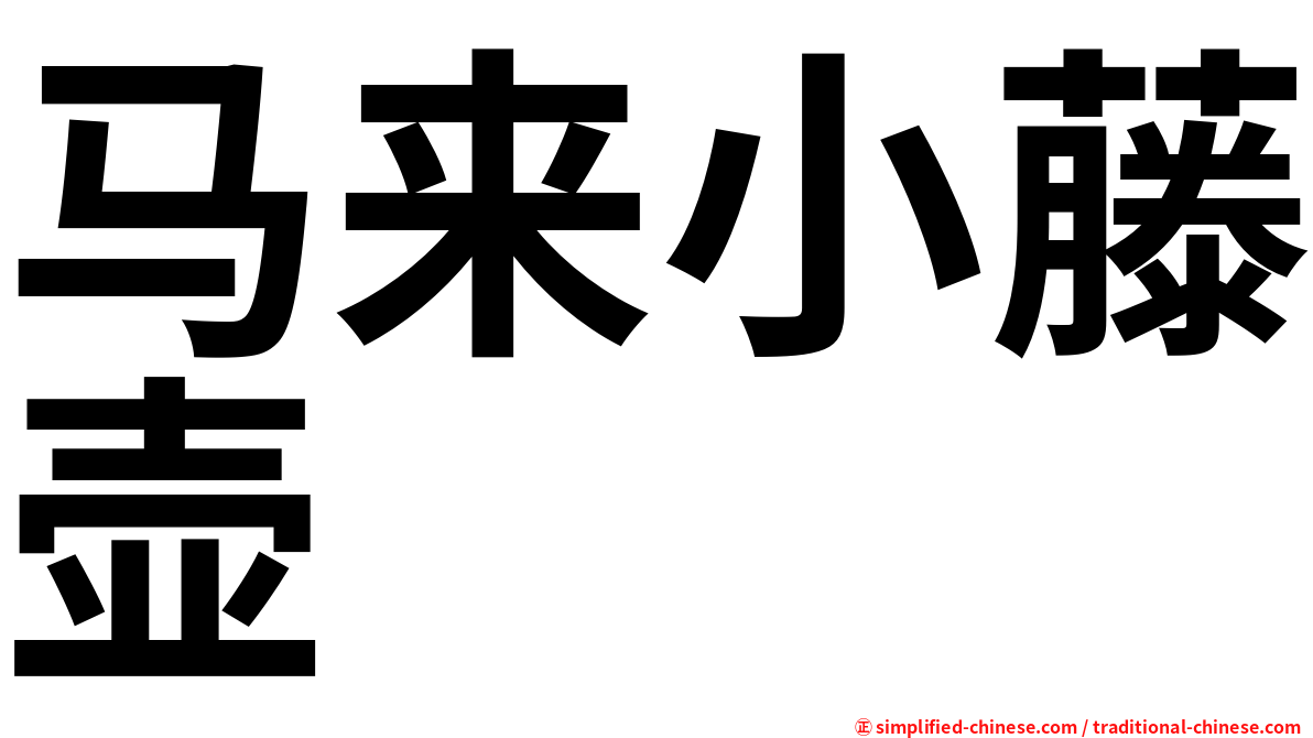 马来小藤壶