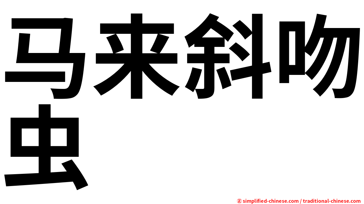 马来斜吻虫