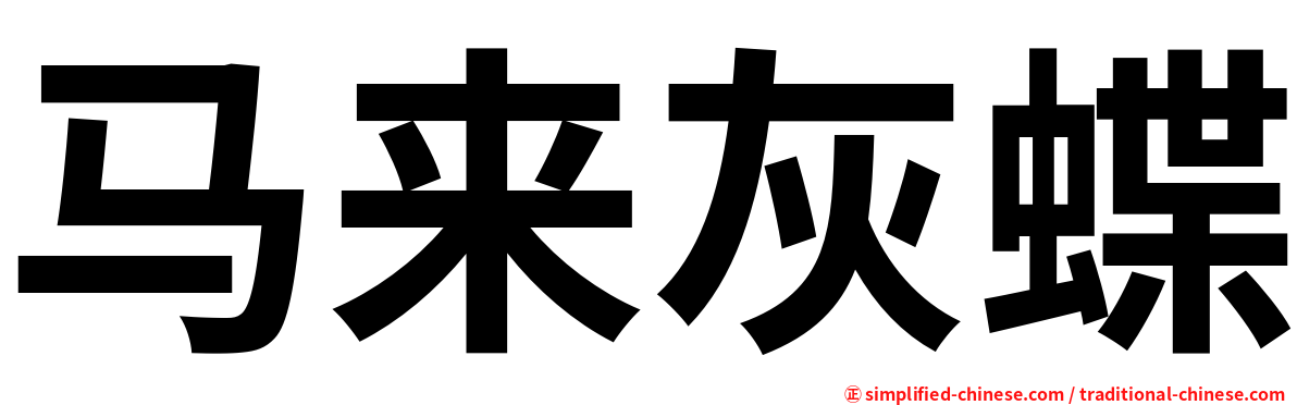 马来灰蝶