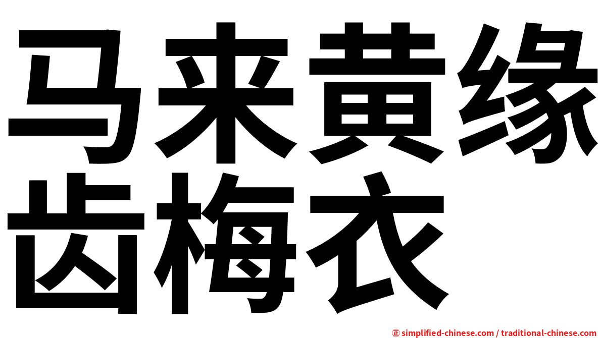 马来黄缘齿梅衣