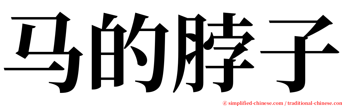 马的脖子 serif font
