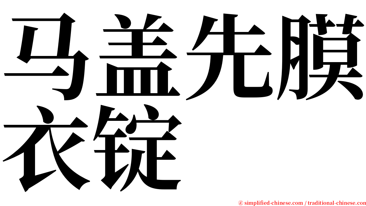 马盖先膜衣锭 serif font