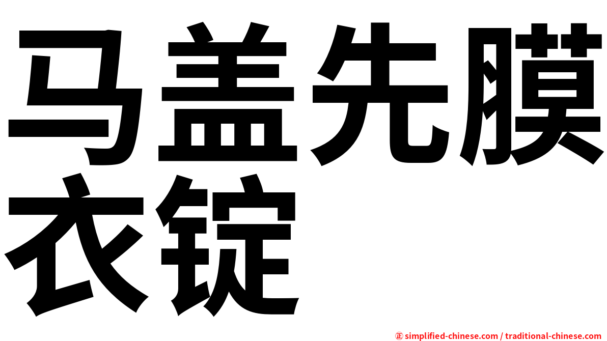 马盖先膜衣锭