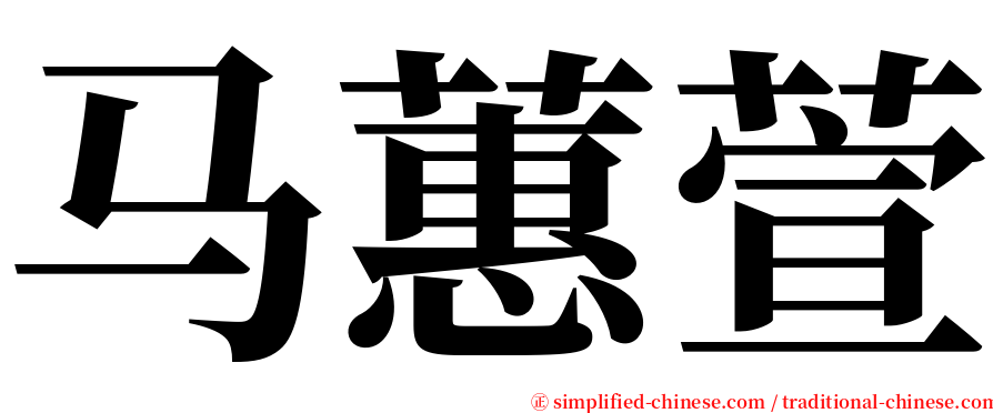 马蕙萱 serif font