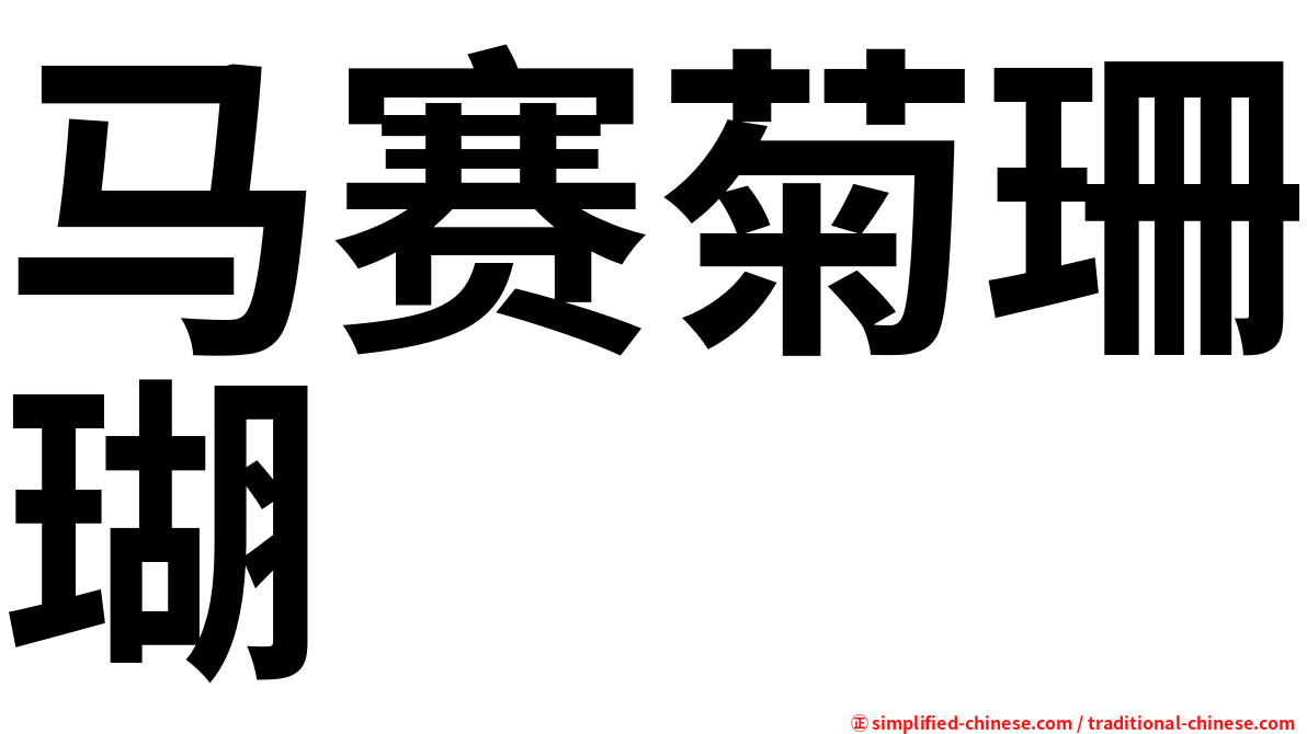 马赛菊珊瑚