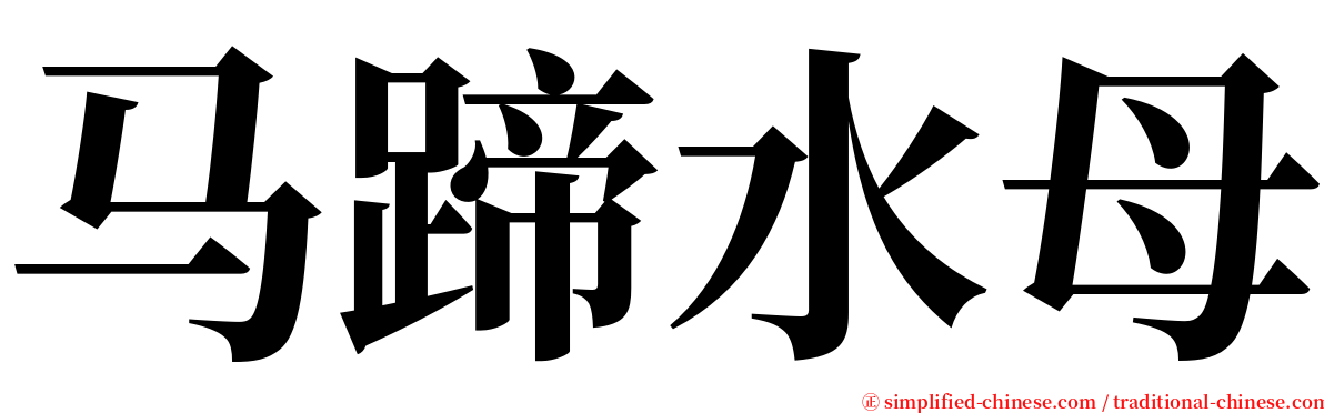 马蹄水母 serif font