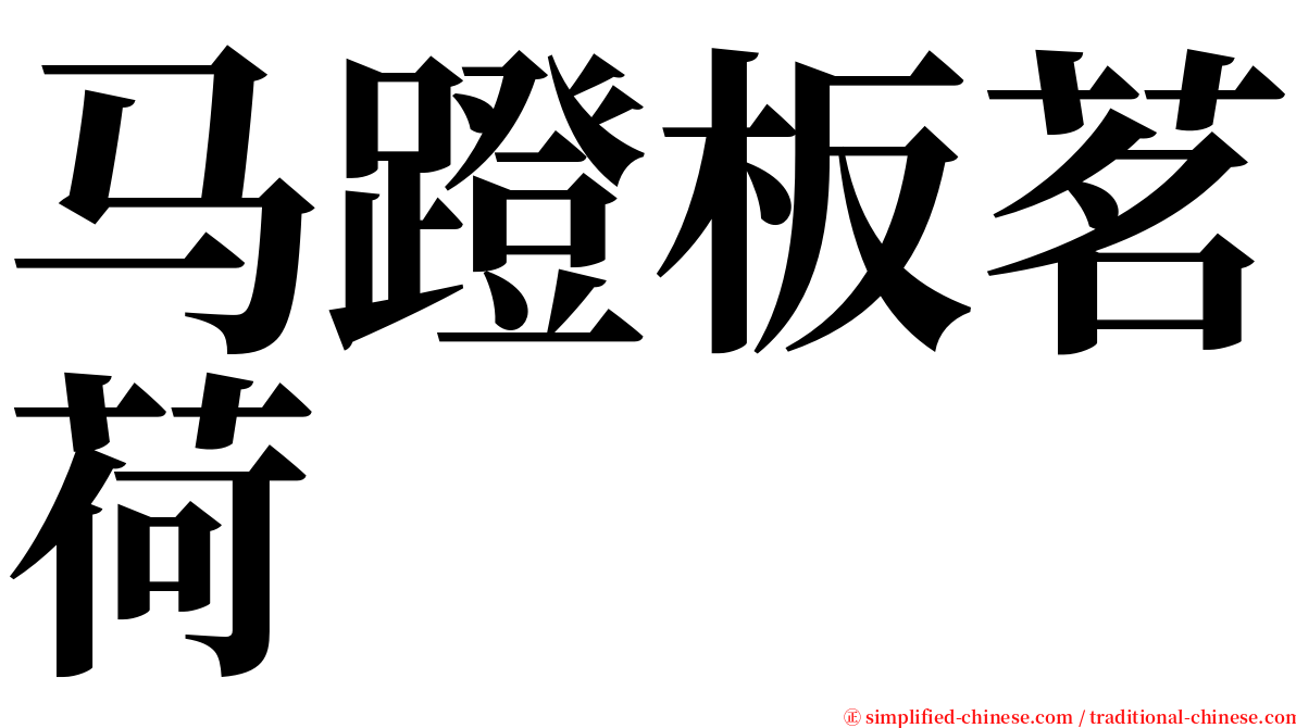 马蹬板茗荷 serif font