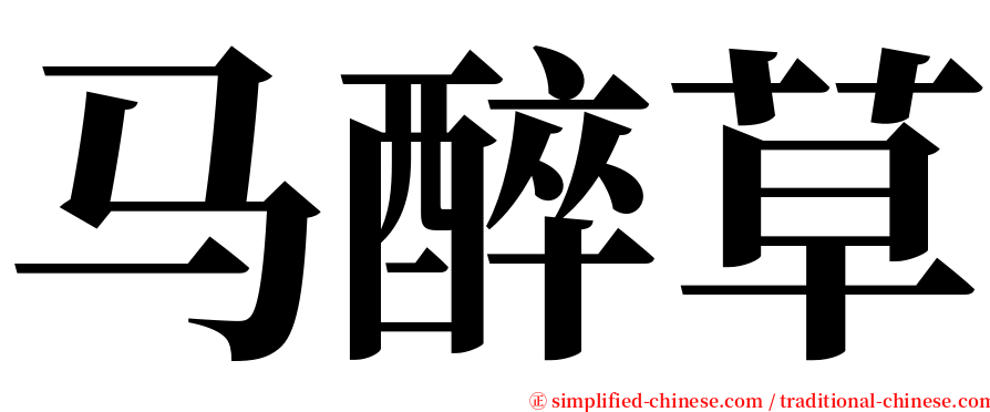 马醉草 serif font