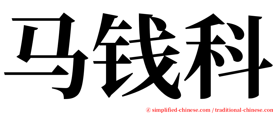 马钱科 serif font