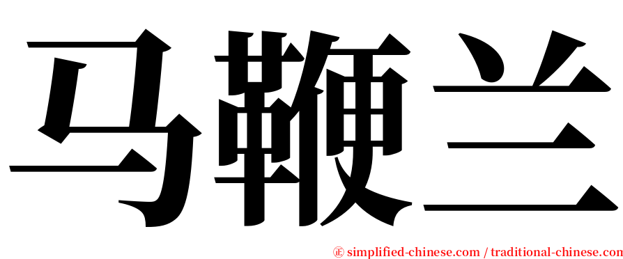 马鞭兰 serif font