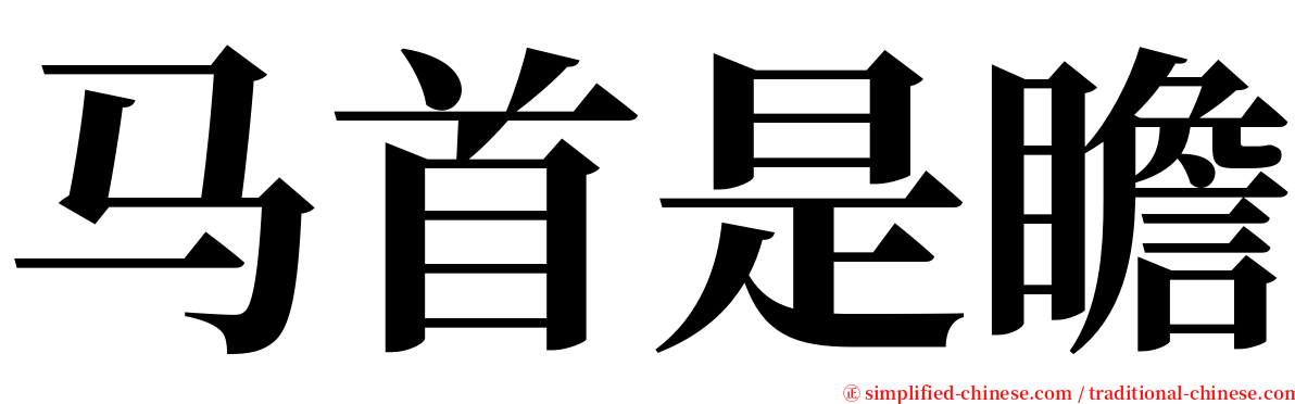 马首是瞻 serif font