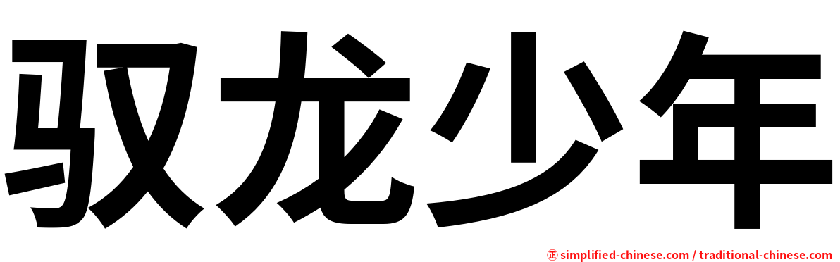 驭龙少年