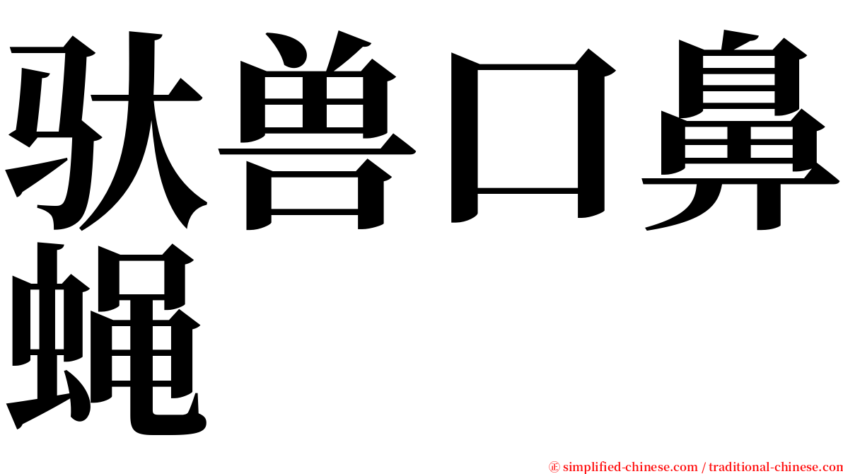 驮兽口鼻蝇 serif font