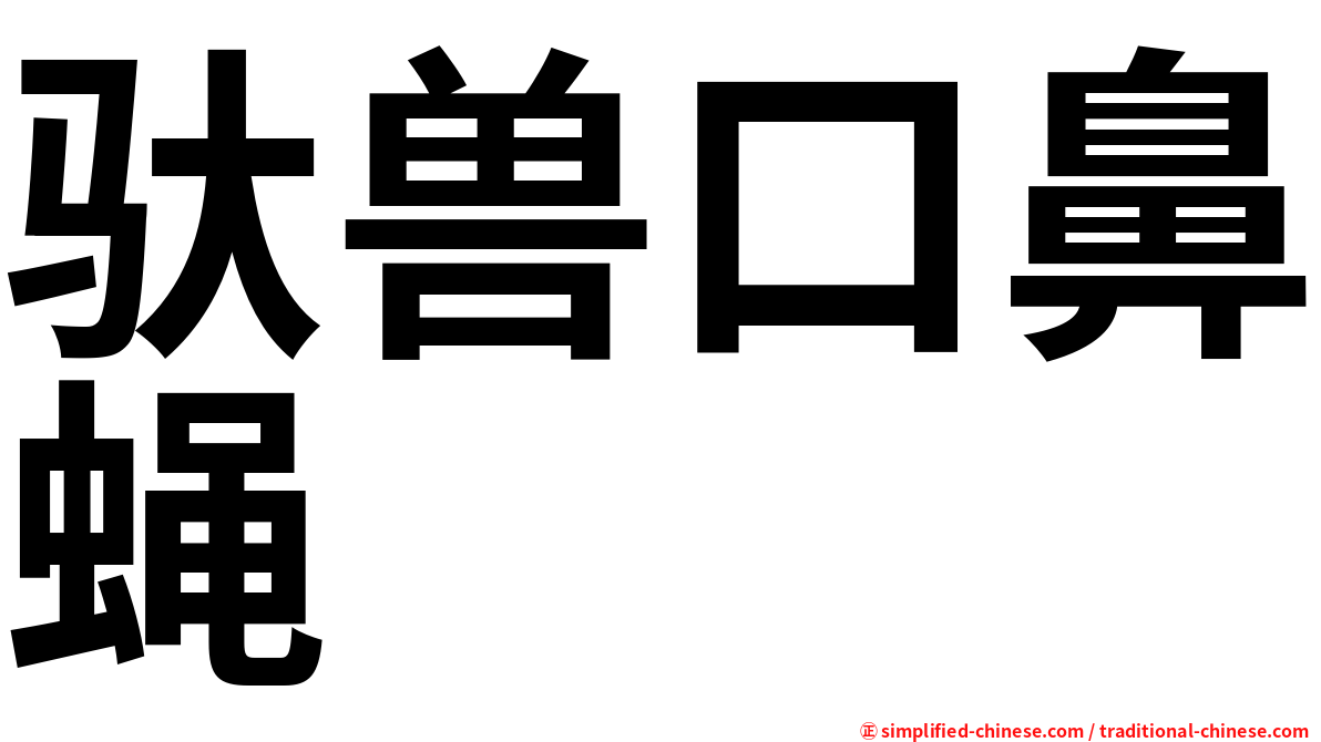驮兽口鼻蝇