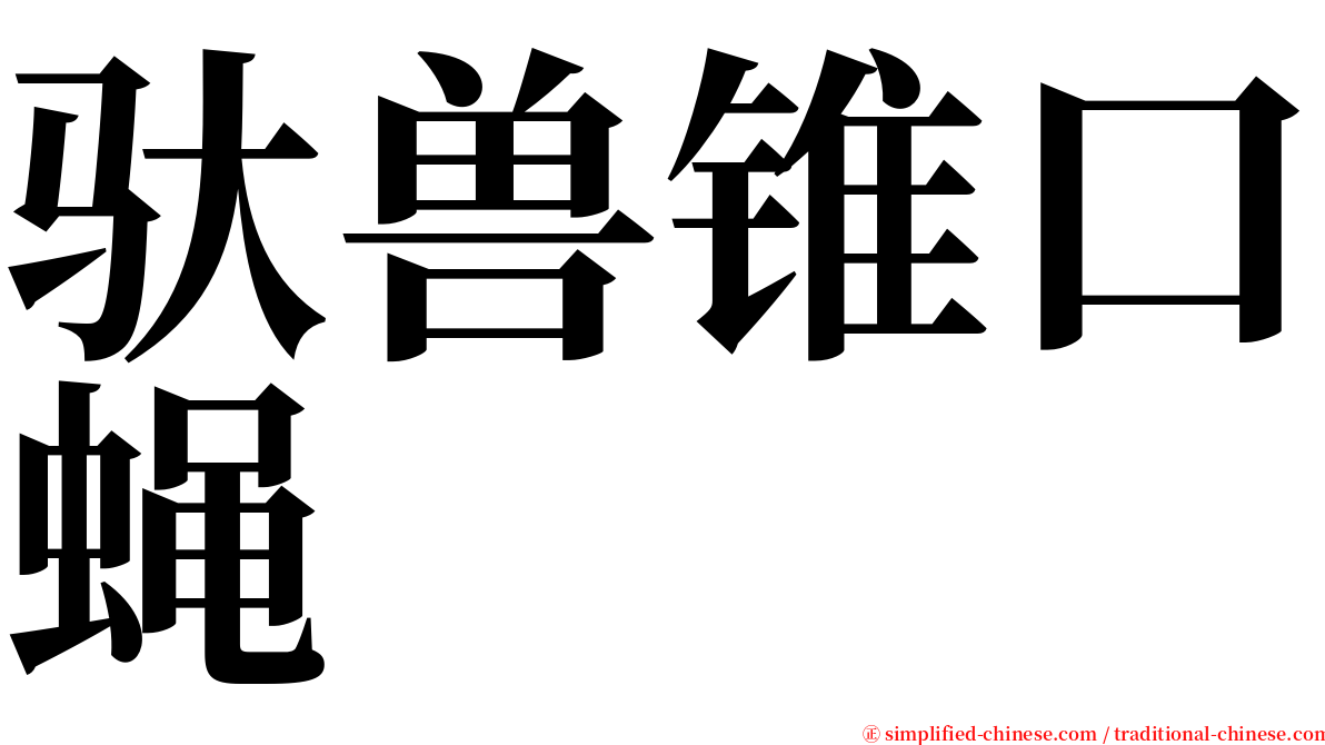 驮兽锥口蝇 serif font