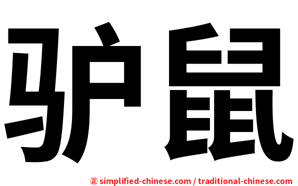 驴鼠