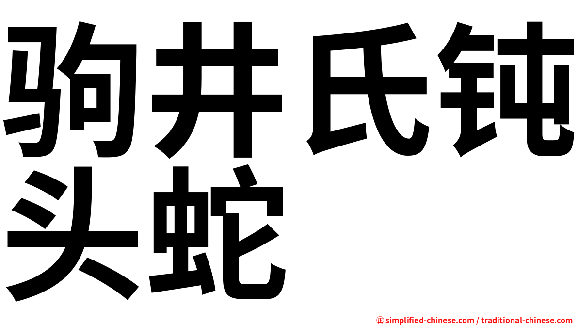 驹井氏钝头蛇