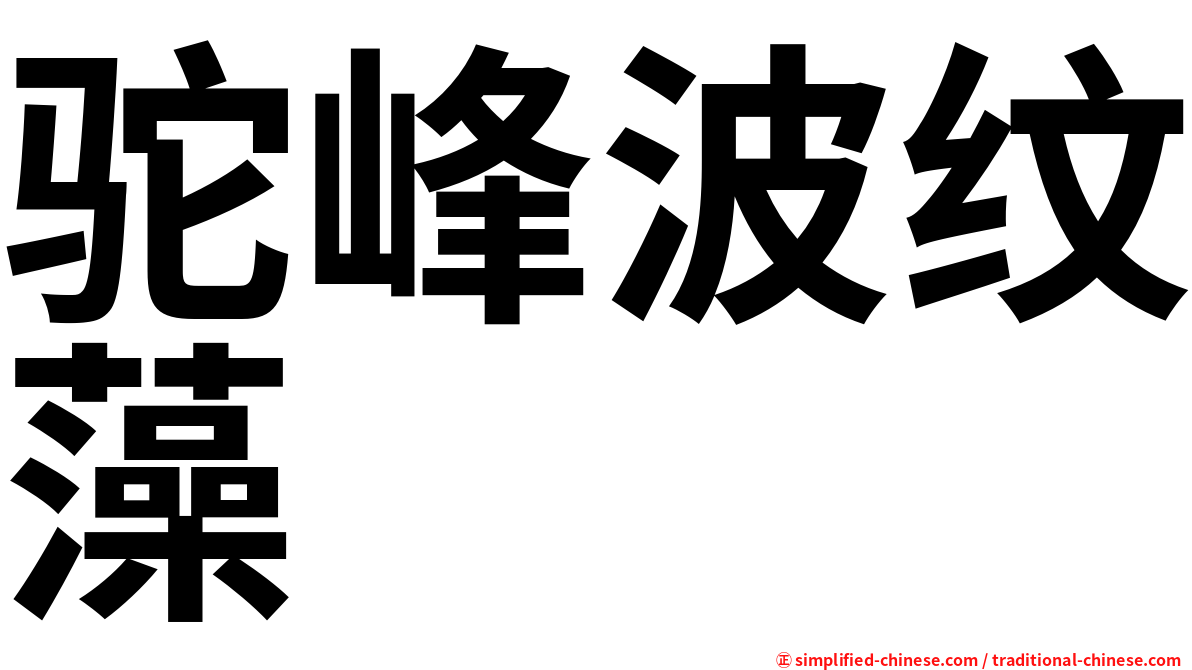 驼峰波纹藻