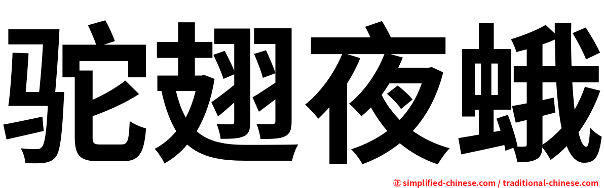 驼翅夜蛾
