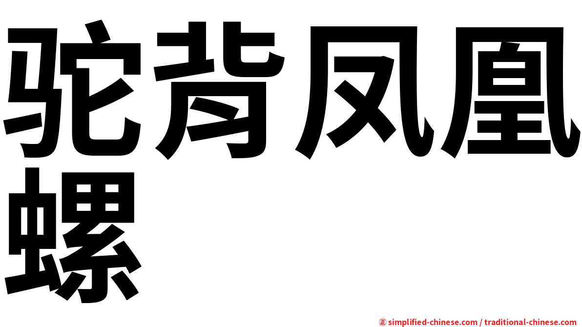 驼背凤凰螺