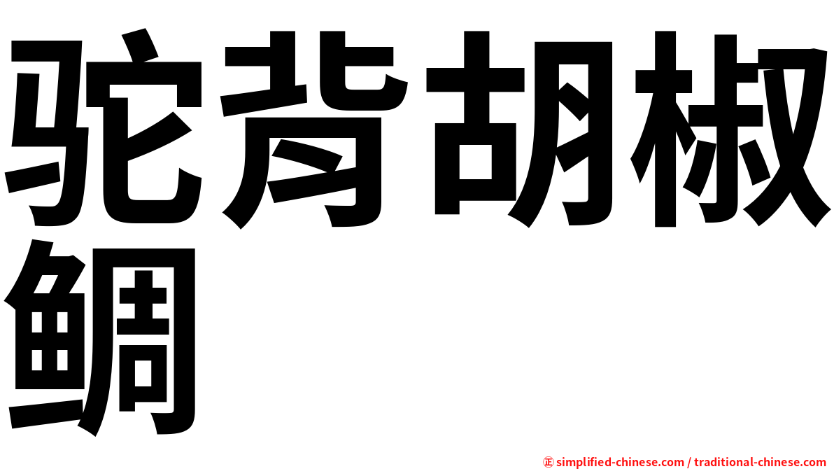 驼背胡椒鲷