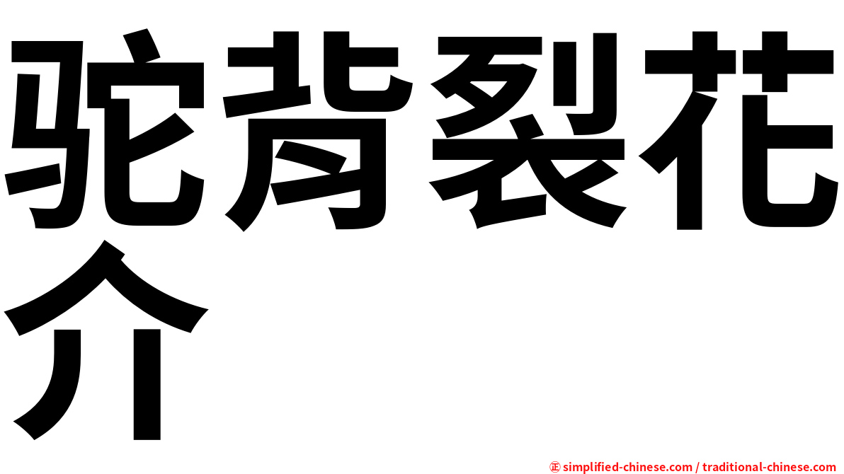 驼背裂花介