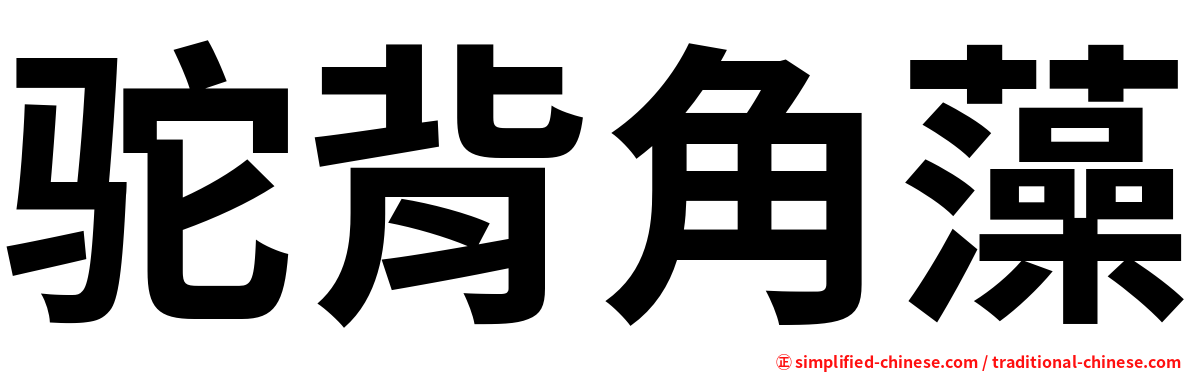 驼背角藻