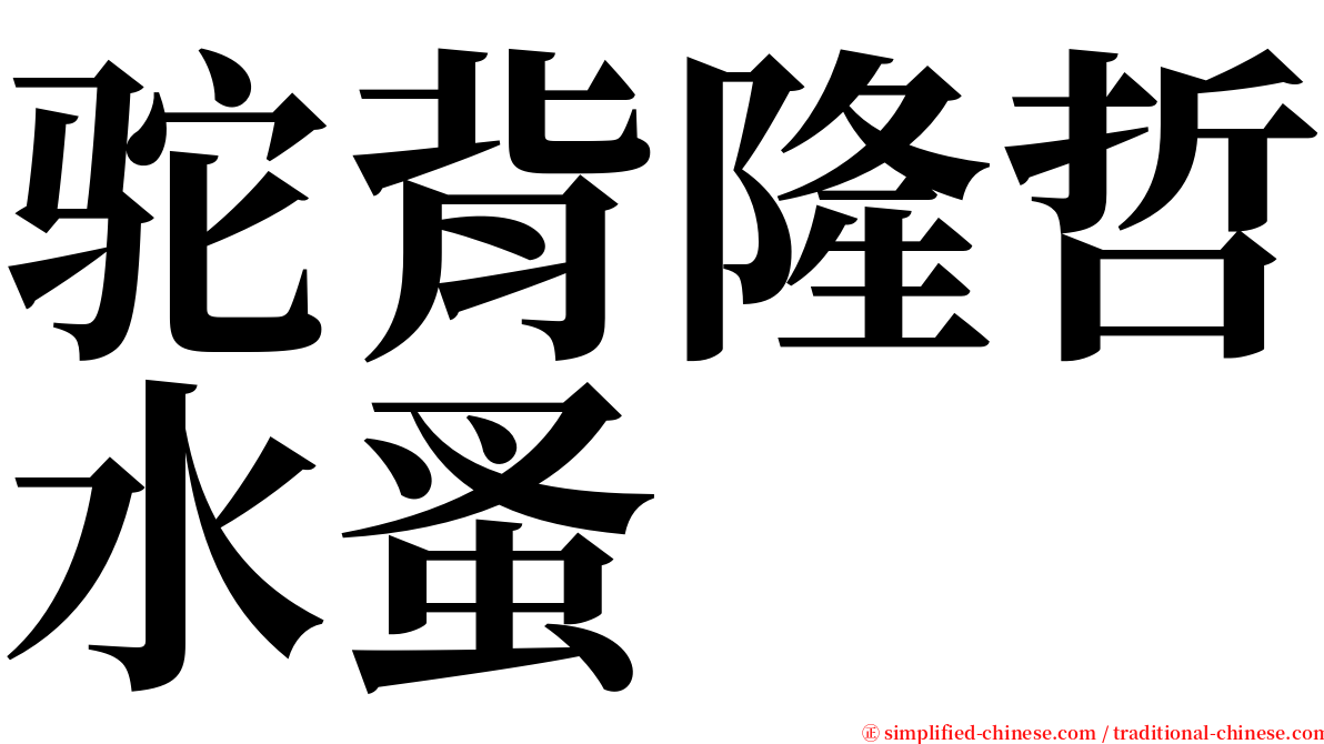 驼背隆哲水蚤 serif font