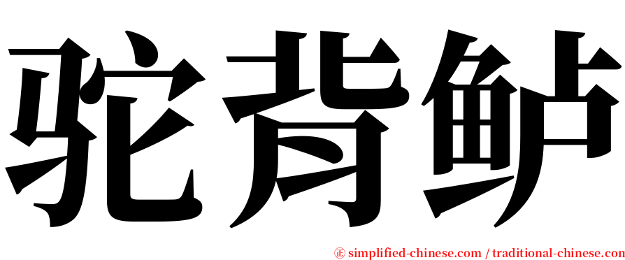 驼背鲈 serif font
