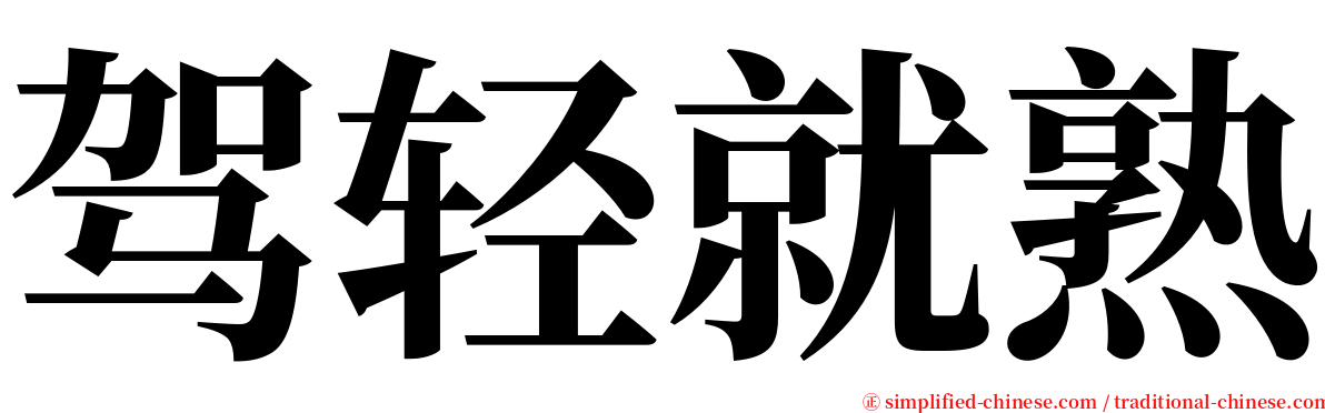 驾轻就熟 serif font