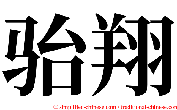 骀翔 serif font