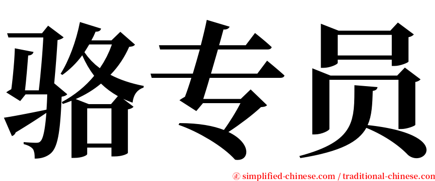 骆专员 serif font